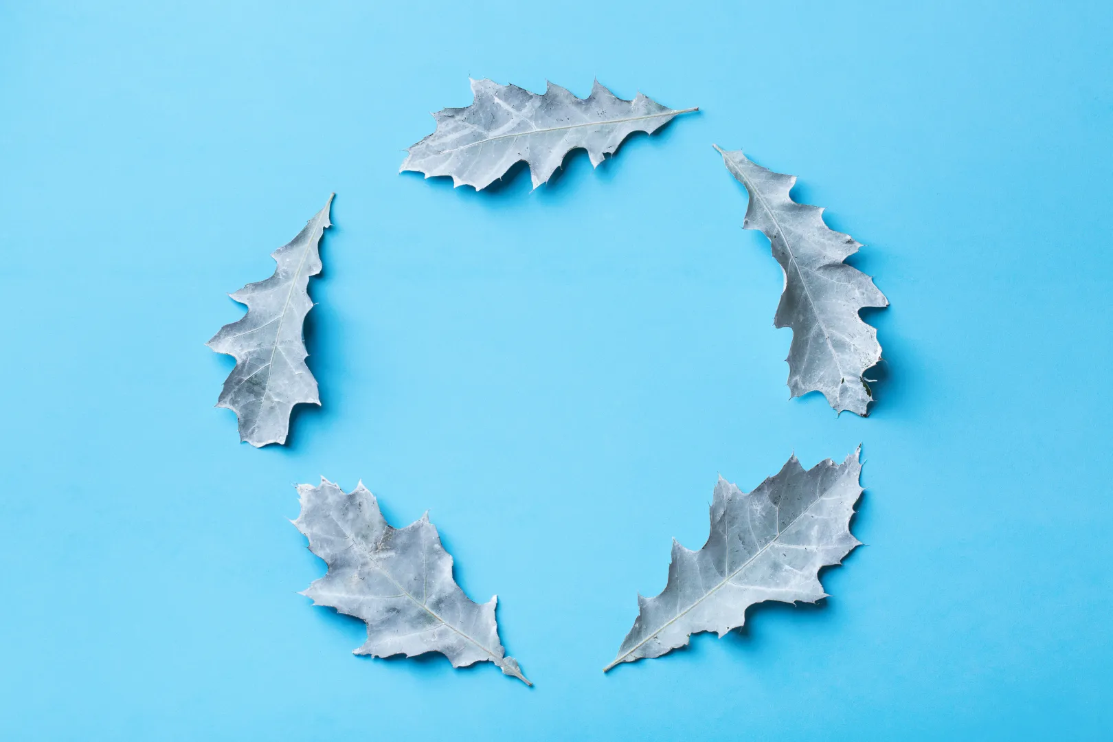circular economy